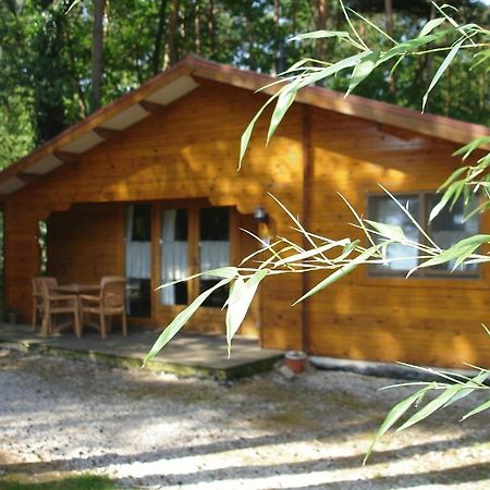Bospark De Brenkberg Schinveld Luaran gambar