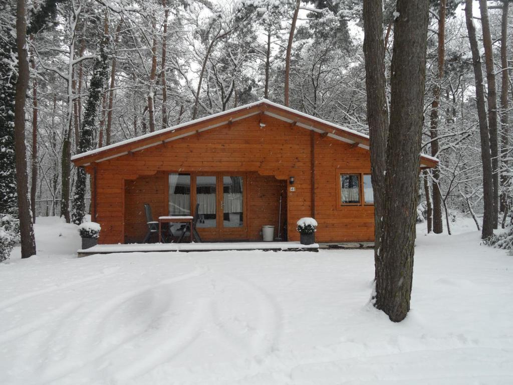 Bospark De Brenkberg Schinveld Luaran gambar